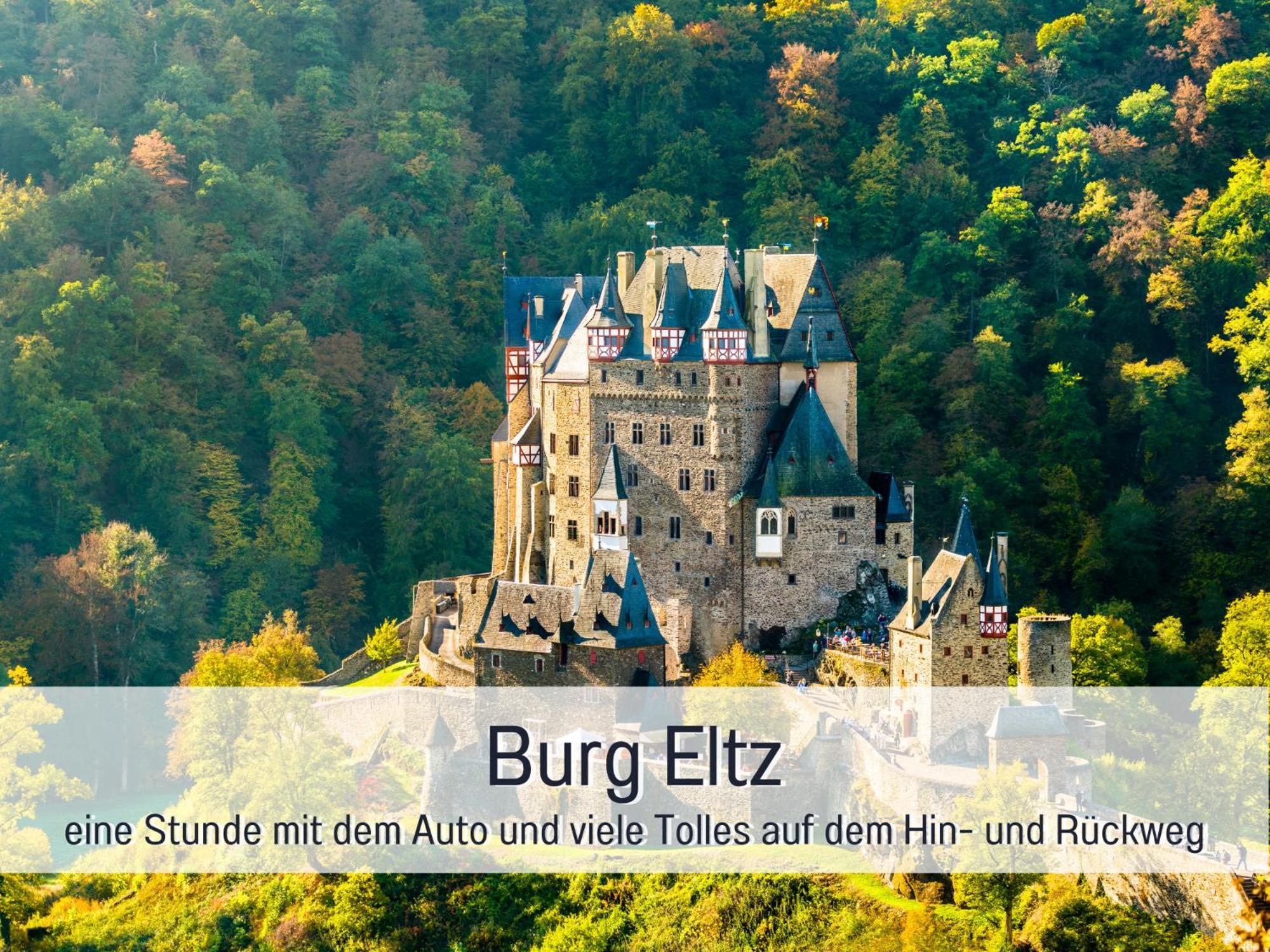 Ferienhaus Schwaab-Scherr, Genau Zwischen Bernkastel-Kues Und Traben-Trarbach, Mit Kostenlosem Oepnv-Ticket Fuer Bus Und Bahn, Parkplaetzen, Fahrradgarage Und Vielen Tipps Erden Eksteriør bilde