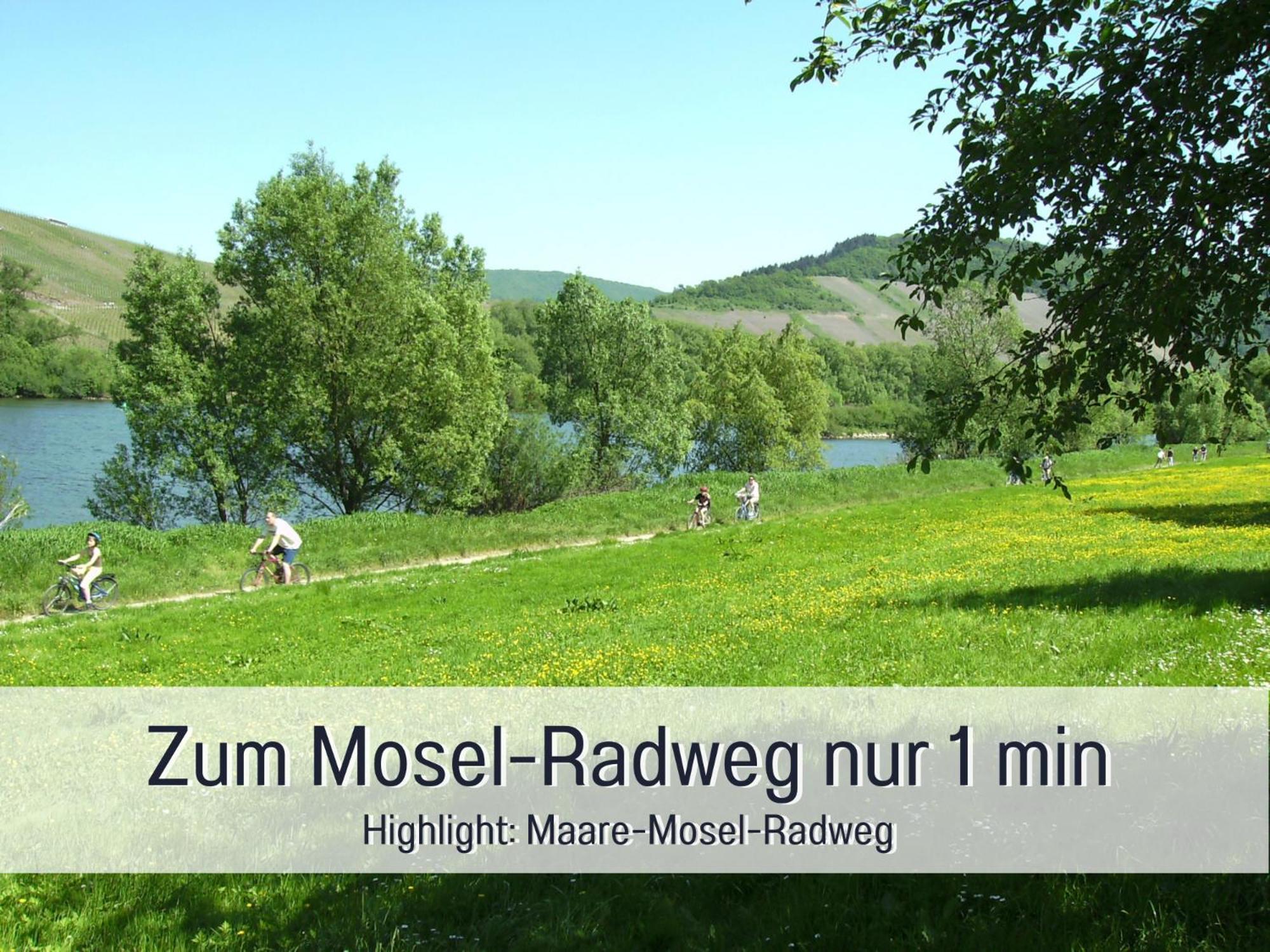Ferienhaus Schwaab-Scherr, Genau Zwischen Bernkastel-Kues Und Traben-Trarbach, Mit Kostenlosem Oepnv-Ticket Fuer Bus Und Bahn, Parkplaetzen, Fahrradgarage Und Vielen Tipps Erden Eksteriør bilde
