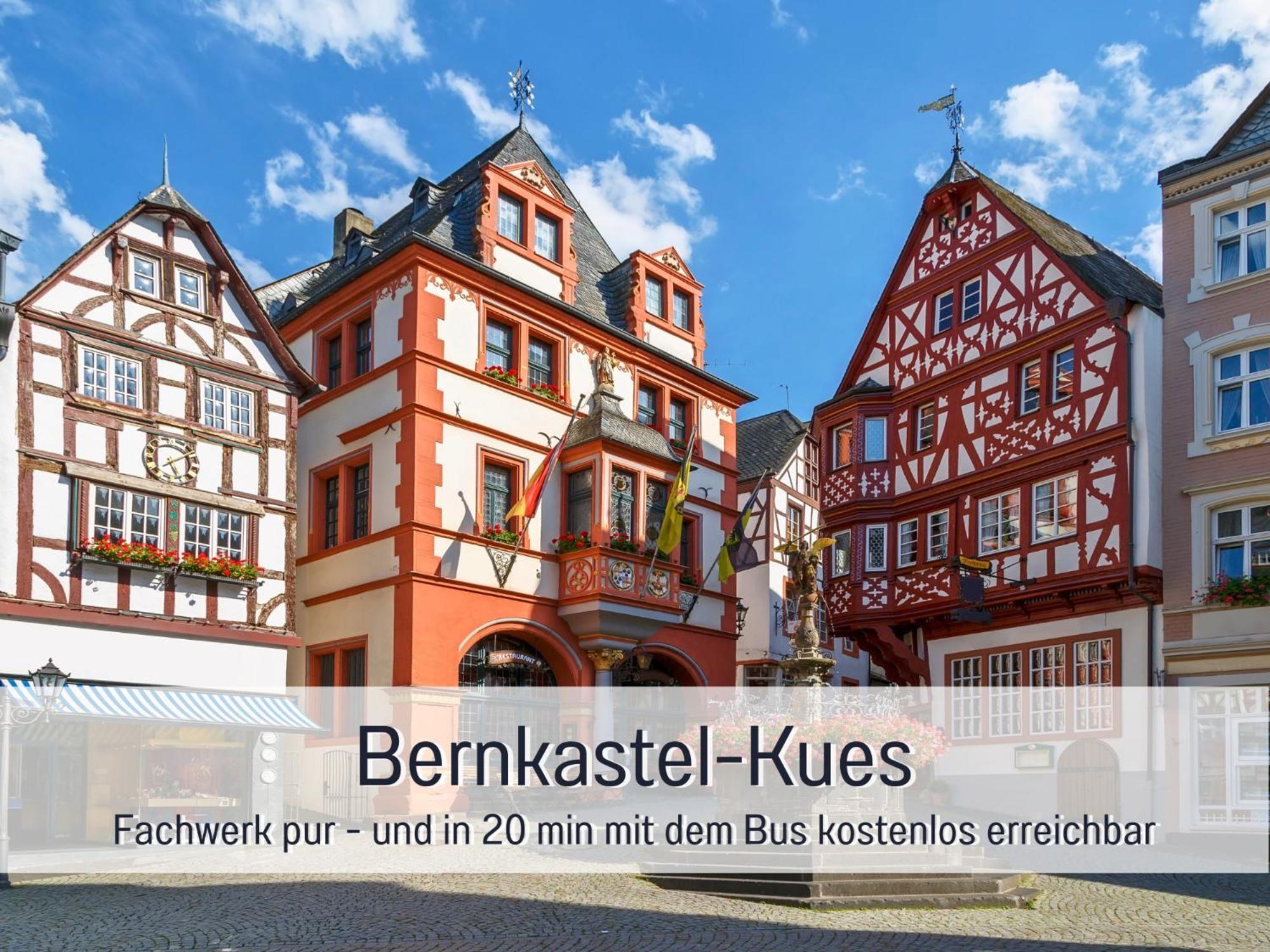 Ferienhaus Schwaab-Scherr, Genau Zwischen Bernkastel-Kues Und Traben-Trarbach, Mit Kostenlosem Oepnv-Ticket Fuer Bus Und Bahn, Parkplaetzen, Fahrradgarage Und Vielen Tipps Erden Eksteriør bilde