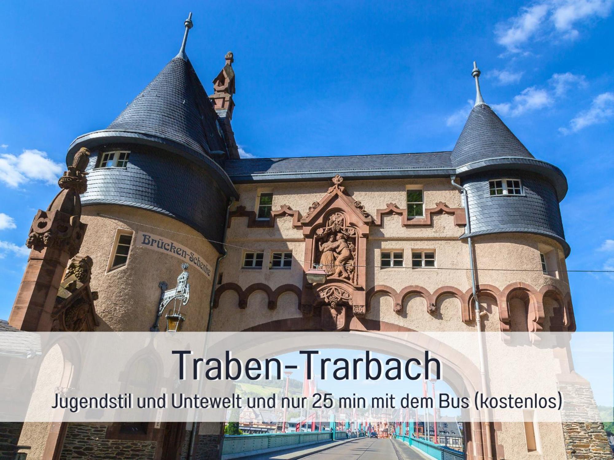 Ferienhaus Schwaab-Scherr, Genau Zwischen Bernkastel-Kues Und Traben-Trarbach, Mit Kostenlosem Oepnv-Ticket Fuer Bus Und Bahn, Parkplaetzen, Fahrradgarage Und Vielen Tipps Erden Eksteriør bilde