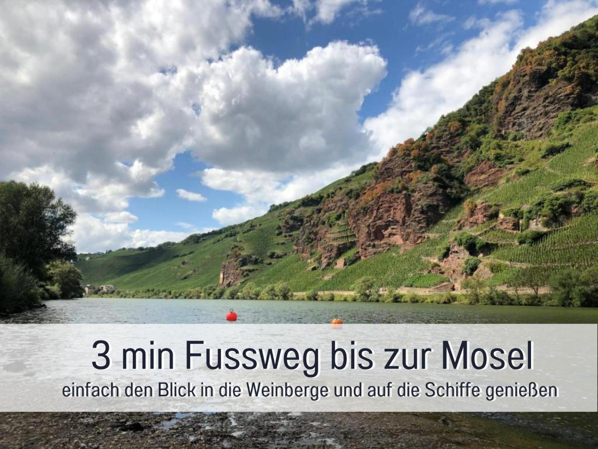 Ferienhaus Schwaab-Scherr, Genau Zwischen Bernkastel-Kues Und Traben-Trarbach, Mit Kostenlosem Oepnv-Ticket Fuer Bus Und Bahn, Parkplaetzen, Fahrradgarage Und Vielen Tipps Erden Eksteriør bilde